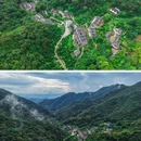 雁南飞茶田景区-桥溪古韵旅游景点 - 梅州市旅游 缩略图 8