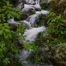 雁南飞茶田景区-桥溪古韵旅游景点 - 梅州市旅游 缩略图 9