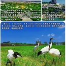 盐城人民公园 - 盐城市旅游 缩略图 7