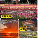 盐城人民公园 - 盐城市旅游 缩略图 5