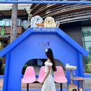 华侨城欢乐海岸游客中心 - 深圳市旅游 缩略图 9