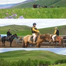 呼伦贝尔大草原 - 呼伦贝尔市旅游 缩略图 6