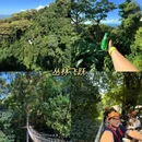 清迈 - 泰国旅游 缩略图 4