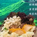 南昌百货大楼萍乡购物中心 - 萍乡市旅游 缩略图 8