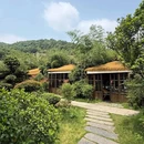 麓溪小院·森系花园餐厅(梅溪湖店) - 长沙市旅游 缩略图 7