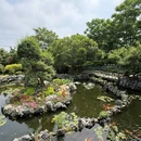 麓溪小院·森系花园餐厅(梅溪湖店) - 长沙市旅游 缩略图 8