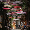 丽江竹逸轩·悦舍悠庭(丽江古城四方街店) - 丽江市旅游 缩略图 2