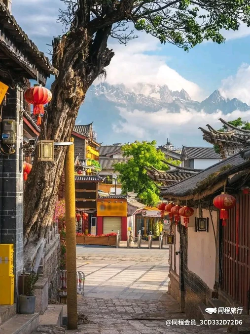 丽江竹逸轩·悦舍悠庭(丽江古城四方街店) - 丽江市旅游