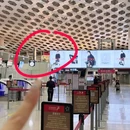 光明园迪(宝安天虹购物中心店) - 深圳市旅游 缩略图 1
