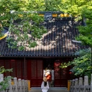 雨花胜境(南极熊露营地) - 苏州市旅游 缩略图 3