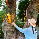 雨花胜境(南极熊露营地) - 苏州市旅游 缩略图 7