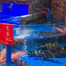 恒信客家王·客家宴(车陂南店) - 广州市旅游 缩略图 9