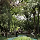 蓬莱公园 - 嘉兴旅游 缩略图 2