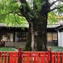 蓬莱公园 - 嘉兴旅游 缩略图 6