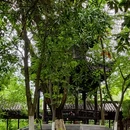 蓬莱公园 - 嘉兴旅游 缩略图 8