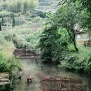 亮石村 - 重庆市旅游 缩略图 7