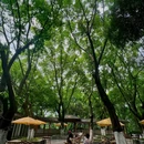 小满茶事(渝高公园店) - 重庆市旅游 缩略图 7