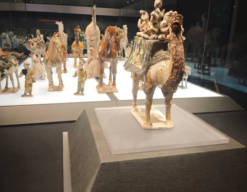 陕西历史博物馆 - 西安市旅游 1