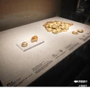 陕西历史博物馆 - 西安市旅游 缩略图 8