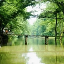 黄山风景区 - 黄山市旅游 缩略图 3