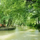 黄山风景区 - 黄山市旅游 缩略图 9