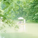 黄山风景区 - 黄山市旅游 缩略图 7