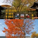 栖霞山风景名胜区 - 南京市旅游 缩略图 1
