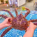 银记肠粉店(佛山铂顿城店) - 佛山市旅游 缩略图 9