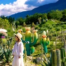大理古城 - 大理白族自治州旅游 缩略图 2