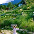 大理古城 - 大理白族自治州旅游 缩略图 8