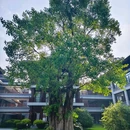 禅泉温泉 - 云浮市旅游 缩略图 3