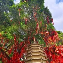 禅泉温泉 - 云浮市旅游 缩略图 4