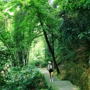 白鹤山风景名胜区 - 成都市旅游 缩略图 4