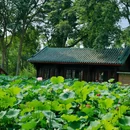 白鹤山风景名胜区 - 成都市旅游 缩略图 2