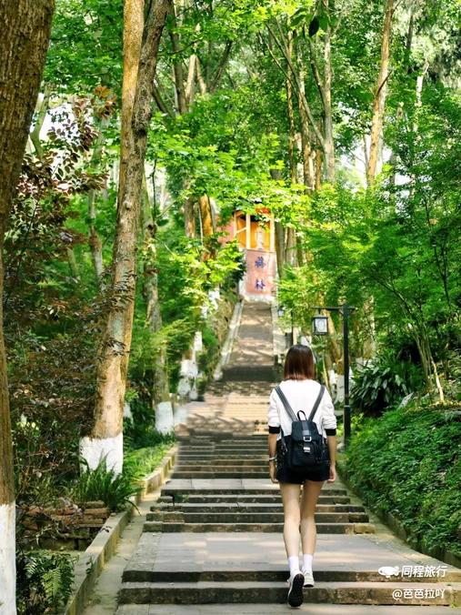 白鹤山风景名胜区 - 成都市旅游