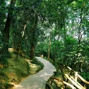 白鹤山风景名胜区 - 成都市旅游 缩略图 3