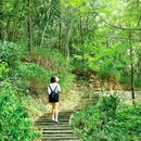 白鹤山风景名胜区 - 成都市旅游 缩略图 7