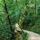 白鹤山风景名胜区 - 成都市旅游 缩略图 9