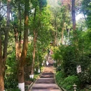 白鹤山风景名胜区 - 成都市旅游 缩略图 8