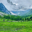 毕棚沟景区 - 阿坝藏族羌族自治州旅游 缩略图 3