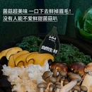 武汉菱角湖万达广场 - 武汉市旅游 缩略图 4