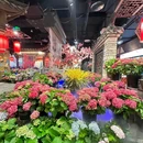 世纪百合商业广场-B3栋 - 成都市旅游 缩略图 7