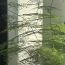 金香顿悦庭高空无边泳池全景花园酒店(西双版纳嘎洒国际机场店) - 西双版纳傣族自治州旅游 缩略图 9