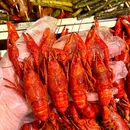 荟辰酒店(长沙洋湖湿地地铁站宜家荟聚店) - 长沙市旅游 缩略图 5