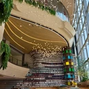 重庆光环购物公园 - 重庆市旅游 缩略图 4