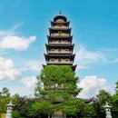 大唐贡茶院 - 湖州市旅游 缩略图 2