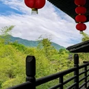 大唐贡茶院 - 湖州市旅游 缩略图 8