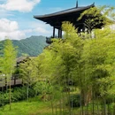 大唐贡茶院 - 湖州市旅游 缩略图 9