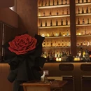 HOMEy Bistro&Bar 餐酒屋 - 广州市旅游 缩略图 7