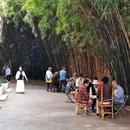 新华公园 - 成都市旅游 缩略图 2